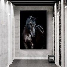 Black Horse Canvas Painting
