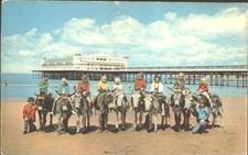 Donkeys Weston-super-Mare Pier
