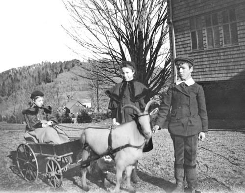 Antique glass photo negative - antique,