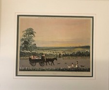 Summer By Helen Layfield