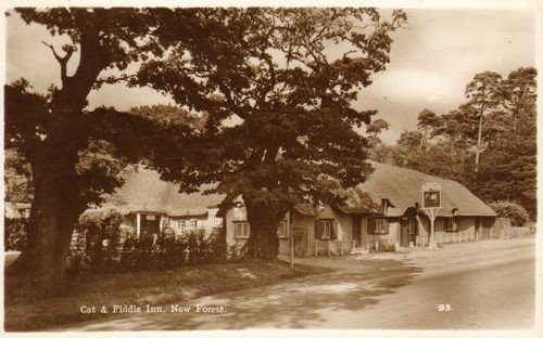 Cat fiddle inn new - -,