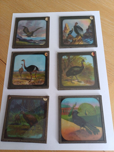 Antique magic lantern slides - magic,