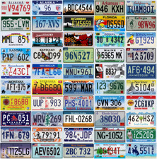 Set of 50 USA License Plates