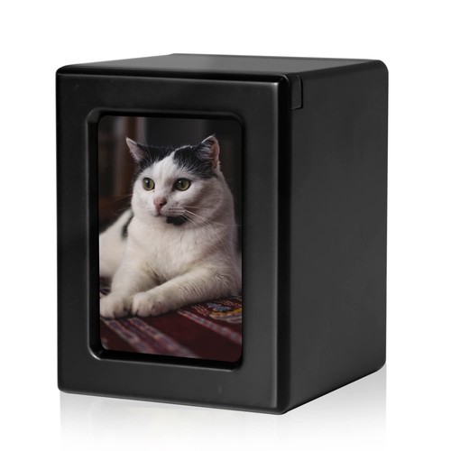 Pcs cat urn for ashes - for,