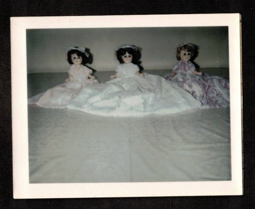 Antique vintage polaroid - antique,