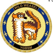 WILD WEASEL YGBSM FIRST IN