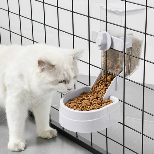 For puppy cats - cats, rabbit