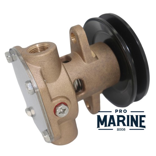 Raw sea water pump - pump, for