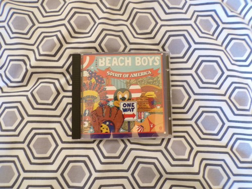 The beach boys spirit of - beach,