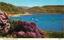 Picture Postcard, Kyles of Bute, At Tighnabruaich [Dennis]