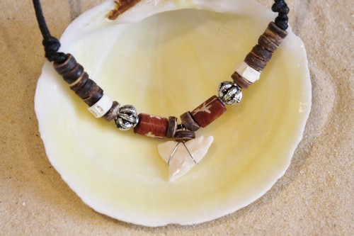 Brand new shark tooth - new,