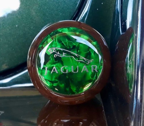 Jaguar custom - jaguar,