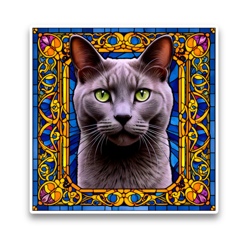 Cute russian blue cat - cute,