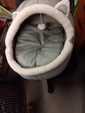 Pet Bed