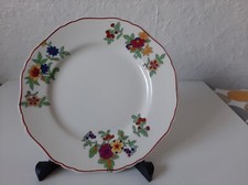 Vintage Corona Ware Floral