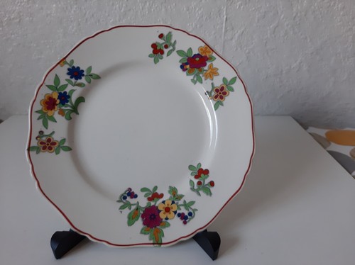 Vintage corona ware floral - corona,