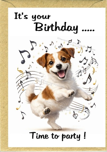 Jack russell terrier dog - jack,