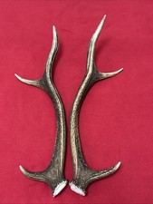 PAIR OF RED DEER ANTLERS 377g.   aprox. 40/41cm.