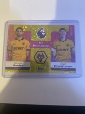 Wolves Pro Partnership