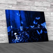 Discover The Beauty Of Nature Butterfly Large Canvas Print Large Picture Wall