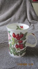Dunoon hedgerow Rose Hip by