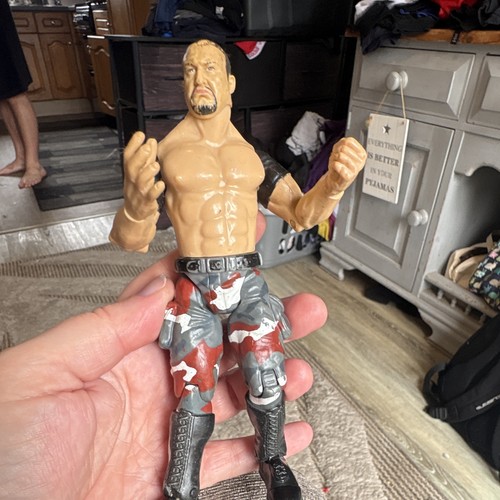 Wrestling action figure - action,