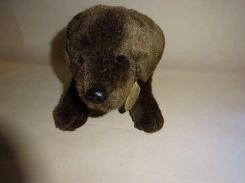 Brown labrador puppy dog - labrador,