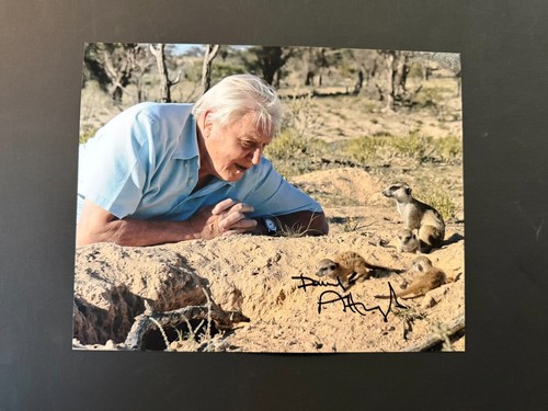 David attenborough rare - david,