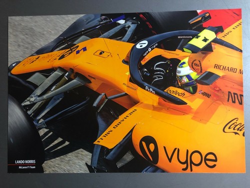 2020 lando norris mclaren - norris,
