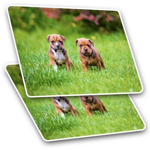 Rectangle stickers cm - x,