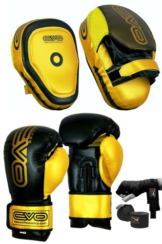 Evo boxing gloves mma focus - gloves,