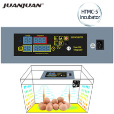 Mini Constant Temperature Eggs