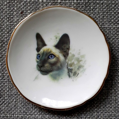 Vintage siamese cat miniature - vintage,