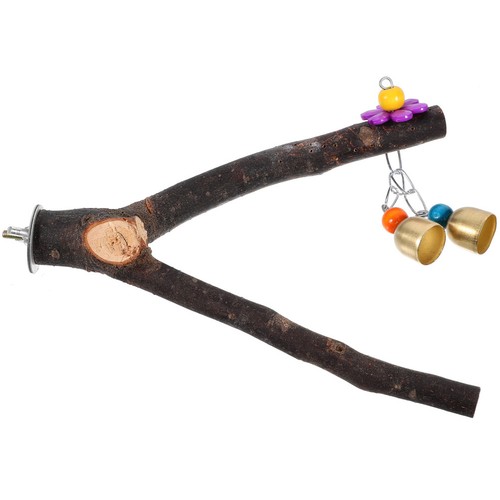 Large parrot perch bird - perch,