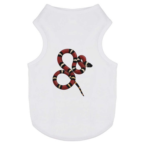 Milk snake pet dog cat - 'milk,