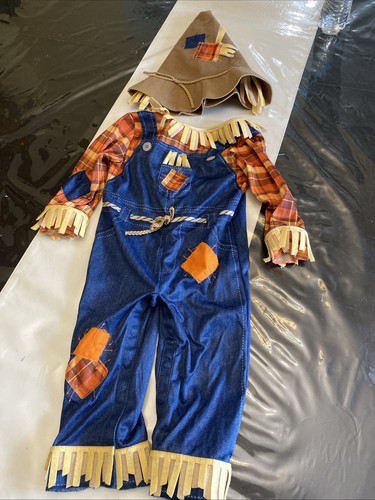 Months scarecrow costume - months,