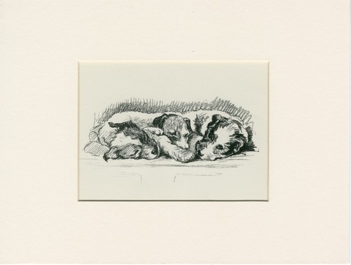 Sealyham terrier vintage - terrier,