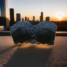 Lace Wireless & Strapless Bra