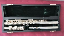 Beautiful Pearl Quantz Forza
