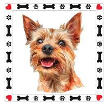 Australian Terrier Dog