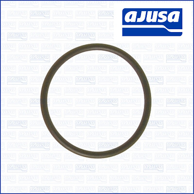 Coolant flange gasket - flange,