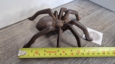🕷 HUGE Spider Garden