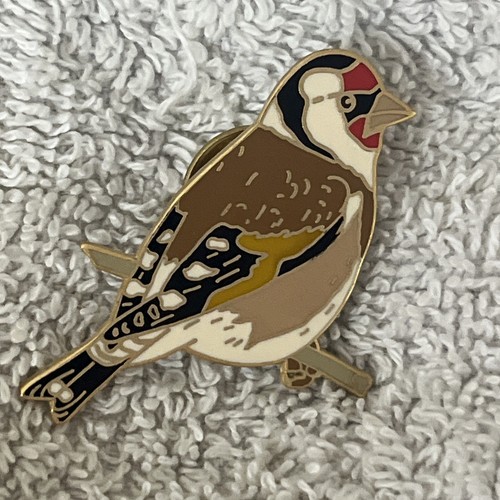 Lanius bird goldfinch pin - goldfinch,