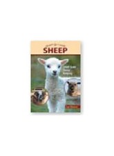Sheep: Small-Scale Sheep Keeping For Pleasure And Profit (Hobb... by Weaver, Sue