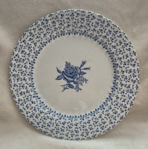 Vintage royal victoria rose - victoria,