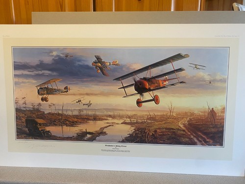 Nicolas trudgian artist proof - nicolas,