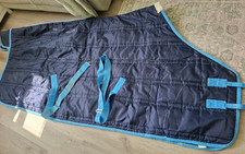 6"9.   (200g)   STABLE RUG