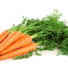 Vegetable Plants Bundle - Carrots + Cabbages + Cauliflowers + Broccoli + Leeks