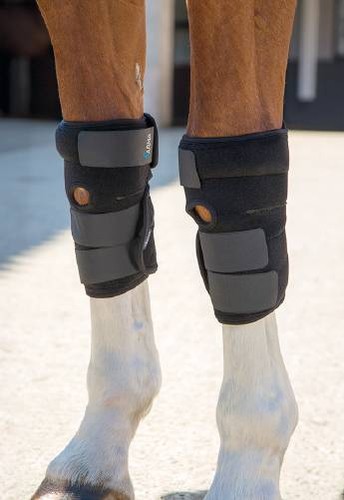 Shires arma hot - shires,