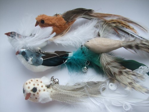 Cat toy feather bird - , refill